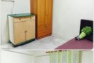 宏茂桥 HDB高层 普通房+独立卫生间 female only