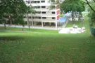 宏茂桥153 有大普通房，无中介，无主人