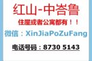 新加坡全岛整套房出租（4+1，3+1，2+1）快来询问！