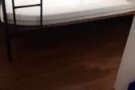 文庆地铁公寓普通房出租