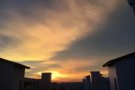 Pasir Ris 451 Common RM for Rent