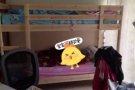 年前房租白菜价出租