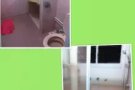 大房间冷气只住两人，寻求租房伙伴，女生 