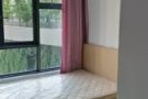 三巴旺公寓单人间，850单人包水电网, 公车直达RP 和 YJC