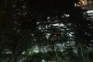 ~~Tampines近MRT干净宽敞大房 无其他房客单独卫生间 拎包入住~~