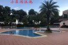 orchid park 公寓主人房 普通房 无中介费