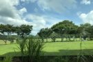 兀兰公寓普通房和主人房出租！