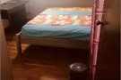 碧山苑公寓普通房出租(Bishan Loft) $1,100/月