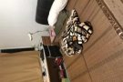 兀兰近地铁站200米892a