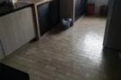 主人房 四人间 女搭房 招两人