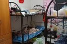义顺21街大牌235可申报制造业地址hdb合法，可以拍照和查看，可以煮，电器家私