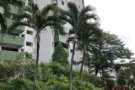 Pine Grove Condo 房间出租 (靠近国大, SP, NP)