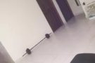 实龙岗北一道，高楼层招夫妻房