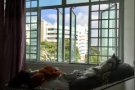近Paya Lebar 和Aljunied ，找一位女生合租～