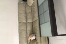 Clementi主人房找女室友