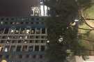 裕廊东及金文泰地铁站附近，德曼花园主人房低价出租，人少安静，可报地址