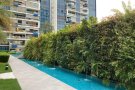 tampines studio for rent 淡滨尼 studio 出租