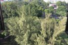 中巴鲁地铁站走路三分钟、有一间大普通房出租