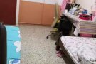55 Telok Blangah Drive 招女搭房