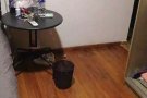 芽笼十四巷公寓主人房出租