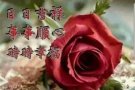 红山地铁站附近男床位出租