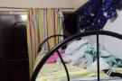 两人间男床位