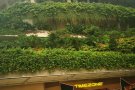 求租整套房子640221附近