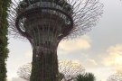 牛车水可丹戎巴噶一女寻一位同租