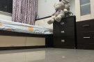 文礼招租