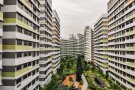 【.....淡滨尼 61街 BLK619A 普通房出租 非中介.....】