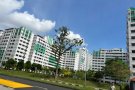 裕廊西8月26日可入住，房东直租