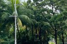 Sembawang MRT 普通房搭房/ 客厅一人