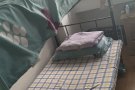 湖畔（达曼裕廊351）绿线26。房东直招，没有中介费， 四人间男女搭房各一个空位