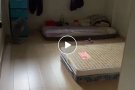 适合夫妻 情侣  女生