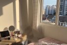 波动巴西全女生普通房