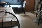 男搭房一床位出租