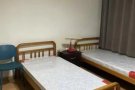 实龙岗北大牌537找女室友！仅限女生！