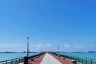 公寓：Laguna Park 在Siglap实乞纳地铁站 单人房 出租