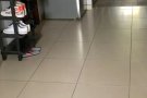本屋地址港湾附近男床位出租，随时入住