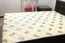 房间出租     非中介