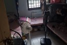 兀兰关卡女床位出租