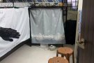 马西岭2人间招一位女搭房$400