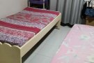 巴西立大牌485床位出租，$500