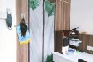 西海岸大牌730高楼有主人房出租