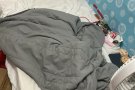 出租 女搭房 一位 中心点