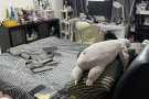 裕廊东地铁靠近国立大学普通房，男女搭房出租