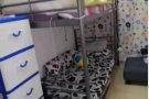 义顺大牌136普通房男床位出租