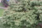 大巴窑8巷3房式二房一厅角头整间出租
