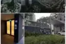 金文泰Trilling公寓出租