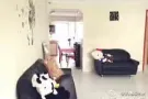 三分钟文庆MRT 温馨大房间 无屋主 可住三人 可立即入住 #94781652